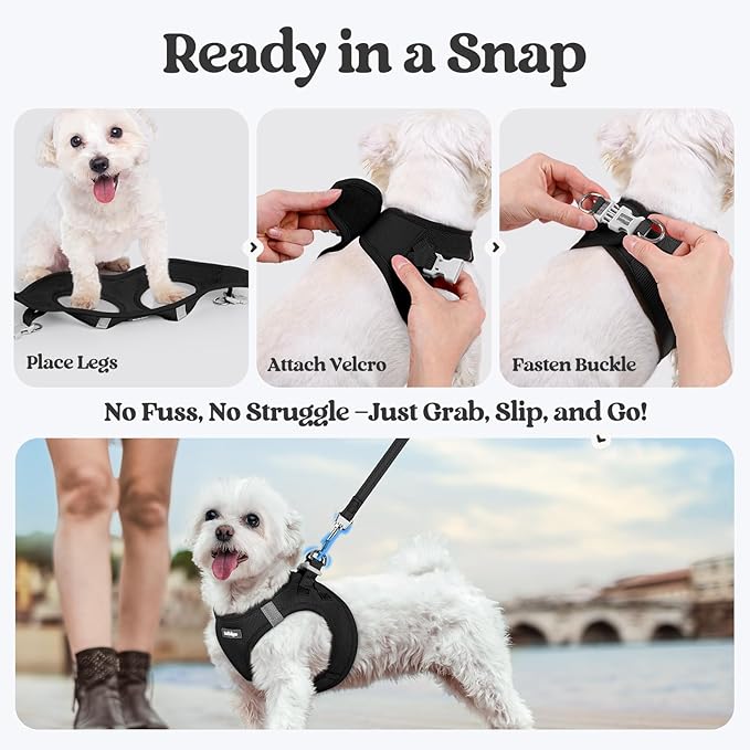rabbitgoo Dog Harness Small Sized and Leash Set, Step in Soft Light Puppy Vest, Breathable Mesh Pet Harness, Reflective for Safe Easy Walking, Black XS-Mewly Pet