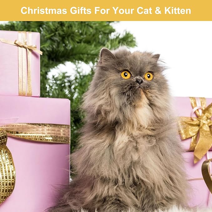 Cat Feather Toys, 14PCS With 2 Slots Super Suction Cup, Detachable 2PCS Wand & 11PCS Replacement Teaser Refills With Bell, Interactive Toy for Indoor Cats Kitten Play Exercise-Mewly Pet