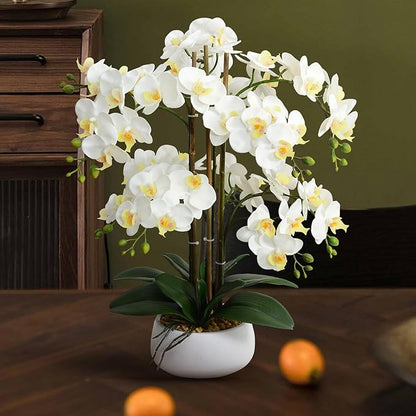 Ziwon Artificial Orchid Flowers & Plants Potted in Ceramic Pot, White Faux Phalaenopsis Orchids for Table Centerpiece, Realistic Fake Flower Arrangement for Home Office Decor Indoor