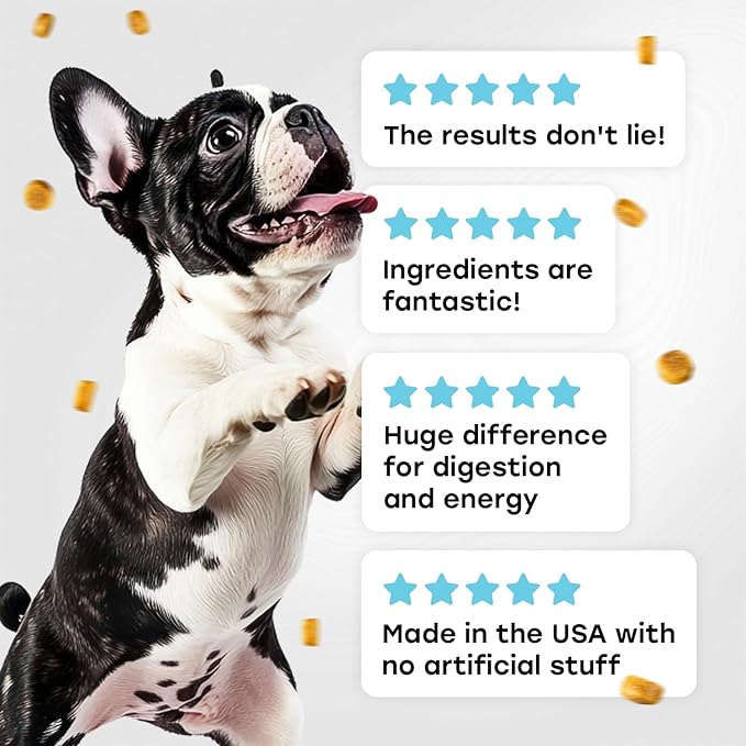 Probiotics for Dogs - PhD Endorsed Digestive Enzymes - Gut Health, Diarrhea & Bowel Support - Dog Treats with Turmeric, Omega-3 & Fiber - Immune Soft 140 Chews - Beef Flavor - Made in USA-Mewly Pet