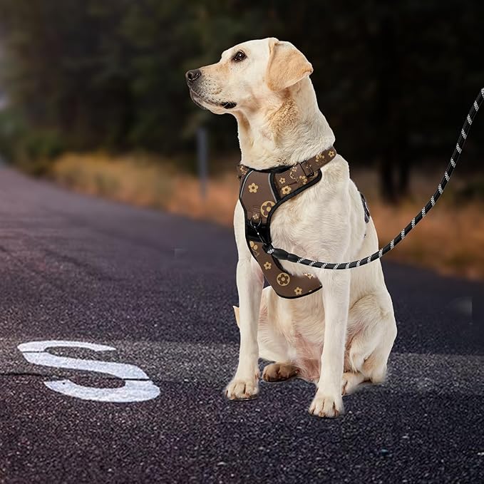 IVY&LANE No Pull Dog Harness with Leash Set, Reflective No Choke Pet Vest,Adjustable Oxford Dog Vest Harness with Easy Control Handle for Large Dogs (Dark Brown,XL)-Mewly Pet