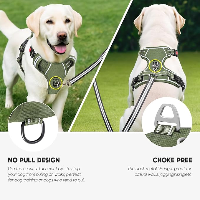 Timos Dog Harness Small Sized, No Pull Pet Harness with Neck Lockable Snap,No Choke Front Clip Dog Reflective Vest,Adjustable Metal Rings 3 Buckles,Easy Control Handle for Small Dogs Green S-Mewly Pet
