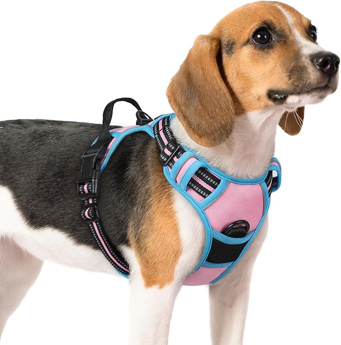 rabbitgoo Dog Harness No Pull with 2 Leash Clips, Adjustable Soft Padded, Reflective Oxford No Choke Pet Vest with Easy Control Handle for Medium Sized Dogs, Pink & Blue, M-Mewly Pet