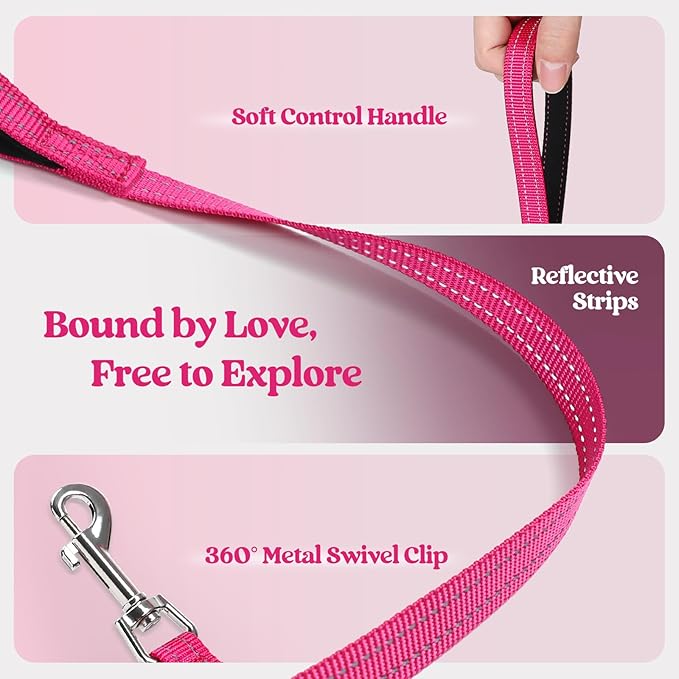 rabbitgoo Dog Harness Small Medium Sized and Leash Set, Step in Soft Light Puppy Vest, Breathable Mesh Pet Harness, Reflective for Safe Easy Walking, Rosa Red XL-Mewly Pet