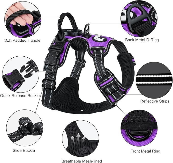 Taglory Light Up Dog Harness, Rechargeable No Pull Dog Vest with 3 Lightning Modes, Reflective Dog Harness with 2 Leash Clips & 4 Adjustable Slide Strips for Large Dogs, Purple-Orange, L-Mewly Pet