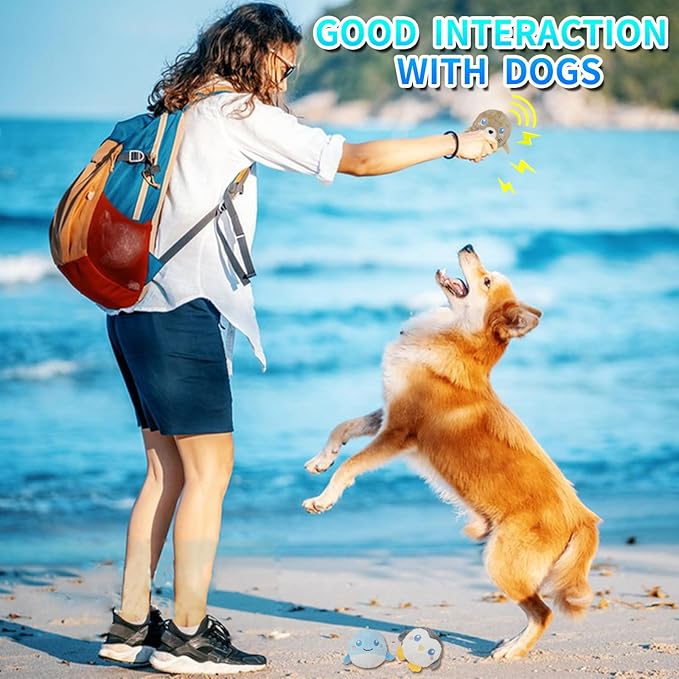 DKING 3Pack Squeaky Dog Balls,2 in1 Funny Puppy Ball Toys,Birthday Dog Toy for Small Medium Dogs (Ocean Ball)-Mewly Pet