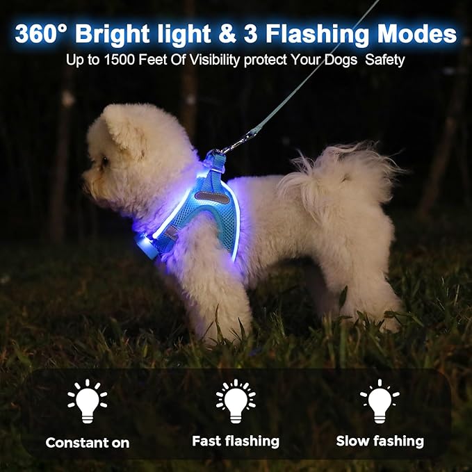 Light Up Dog Harness,Rechargeable LED Dog Harness for Small Medium Large Dogs,Reflective Lighted Safety Vest for Night Walking & Camping,Lightweight & Adjustable,Blue,S-Mewly Pet