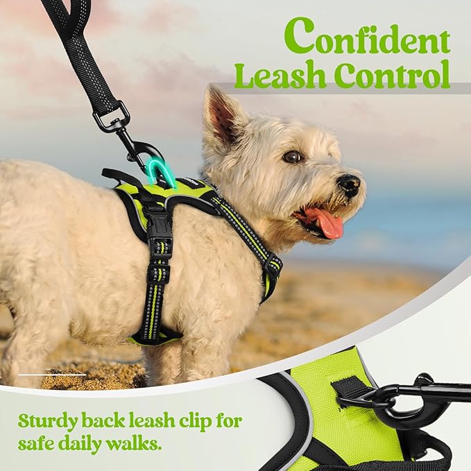 rabbitgoo Dog Harness No Pull with 2 Leash Clips, Adjustable Soft Padded, Reflective Oxford No Choke Pet Vest with Easy Control Handle for Puppy, Green, XS-Mewly Pet