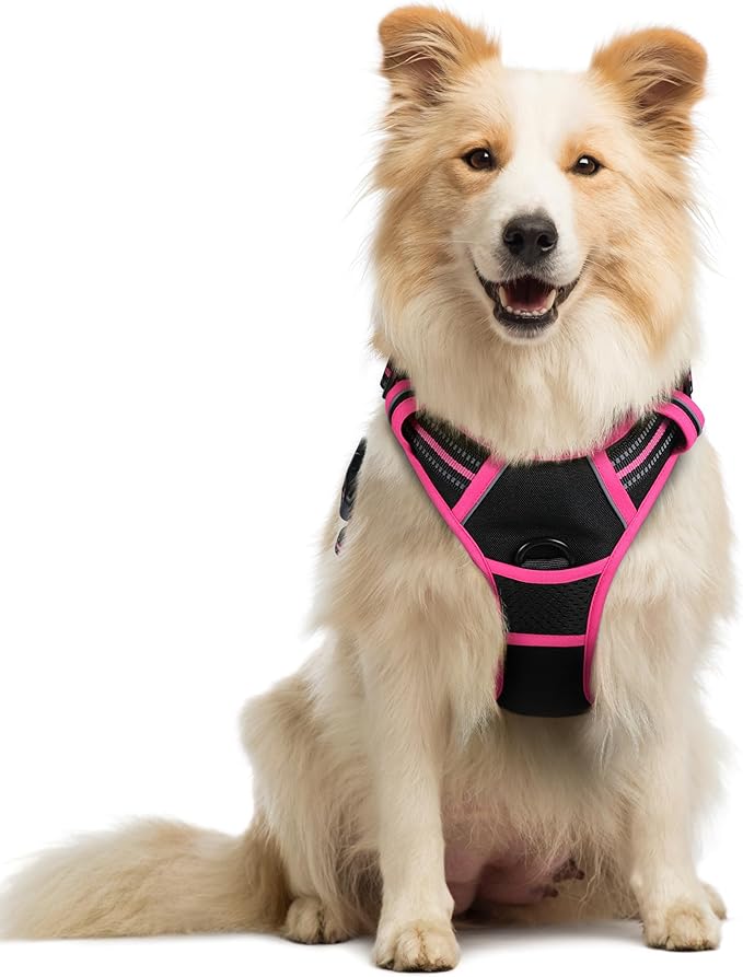 rabbitgoo Dog Harness No Pull with 2 Leash Clips, Adjustable Soft Padded, Reflective Oxford No Choke Pet Vest with Easy Control Handle for Large Dogs, Black & Hot Pink, M-Mewly Pet