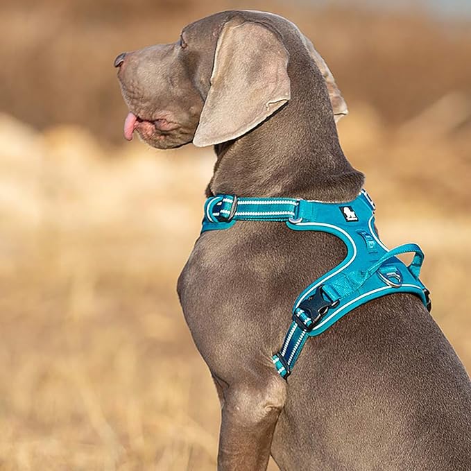 TRUE LOVE Dog Harness No Pull Nylon Reflective Pet Harness Adjustable Comfortable Control Step-in Brilliant Colors Truelove TLH56512-Mewly Pet