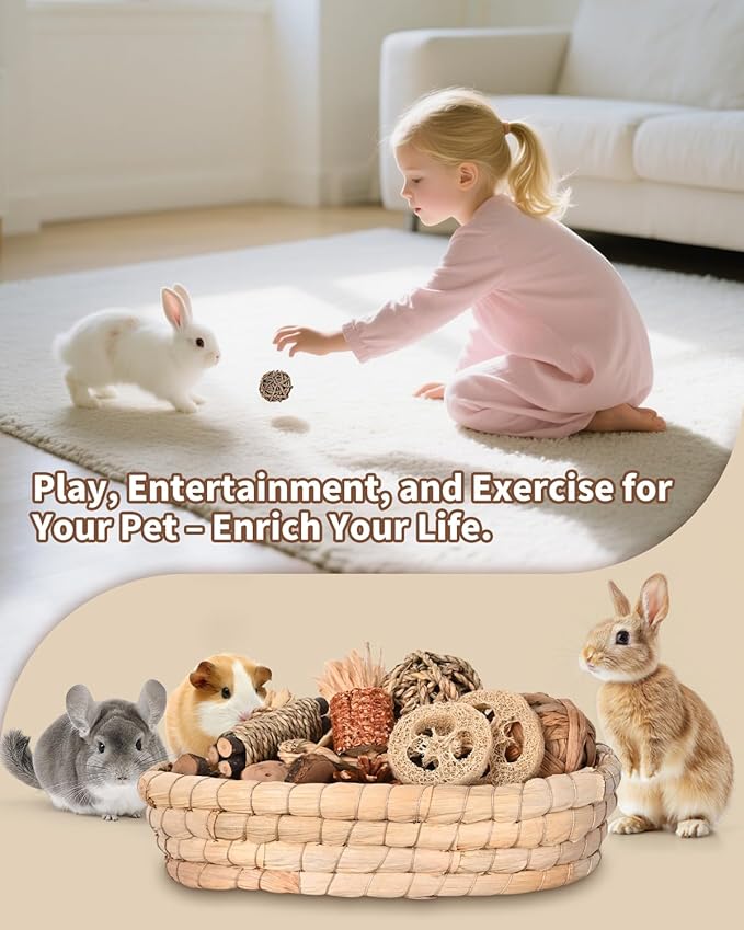 31PCS Rabbit Chew Treat Toys for Teeth Health, Natural Bunny Enrichment Toys for Boredom & Stress Relief, Keep Busy Toys for Guinea Pig Chinchilla Hamster Rat Gerbil Degu Indoor Outdoor-Mewly Pet