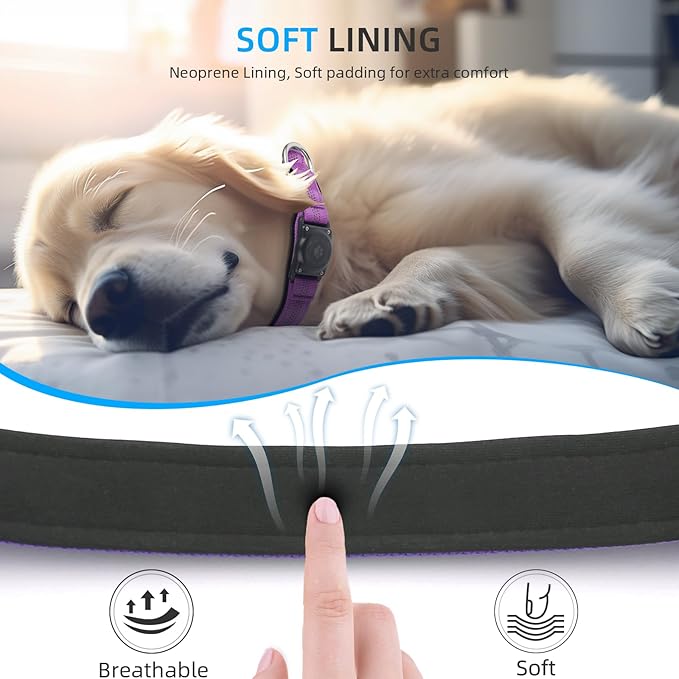 Upgraded AirTag Dog Collar, IP68 Waterproof Air Tag Dog Collar Holder, Reflective, Ultra-Durable, Comfortable Padded, Heavy Duty Dog Collars for Small Medium Large Dogs (S (10.6"-13.6"), Purple)-Mewly Pet