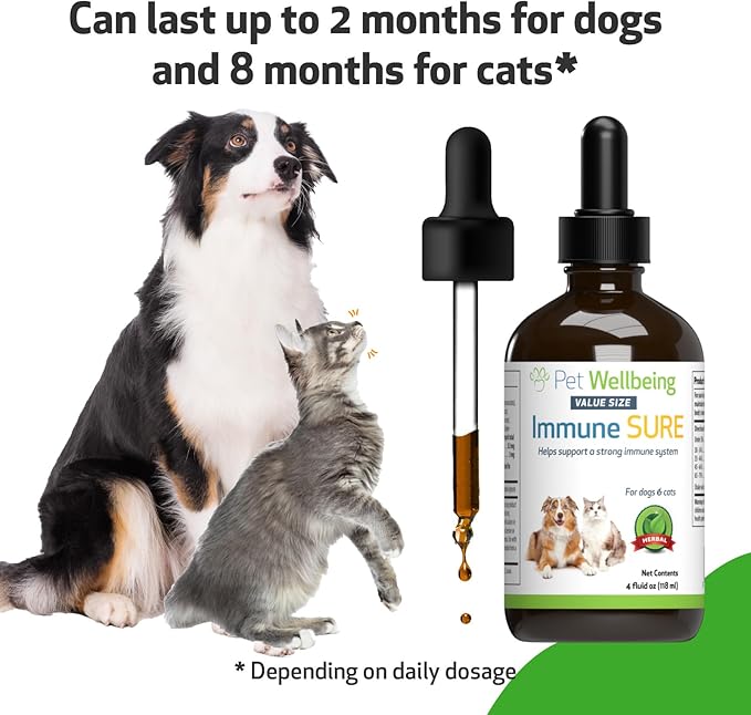 Pet Wellbeing Immune Sure for Dogs - Supports Normal Immune Defenses, Gut Flora Balance, Andrographis, Echinacea, Vitamin C, Zinc - Veterinarian-Formulated Herbal Supplement 4 oz (118 ml)-Mewly Pet