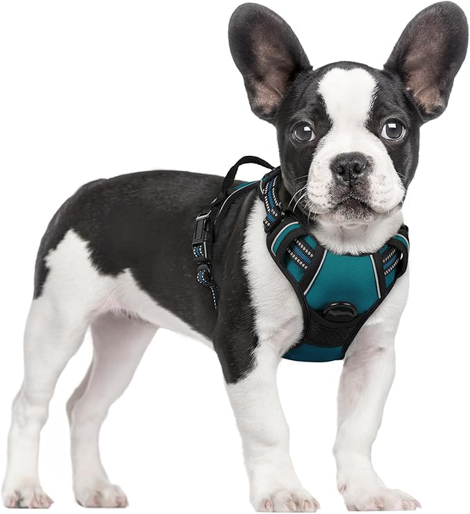 rabbitgoo Dog Harness No Pull with 2 Leash Clips, Adjustable Soft Padded, Reflective Oxford No Choke Pet Vest with Easy Control Handle for Small Dogs, Blue Coral, S-Mewly Pet
