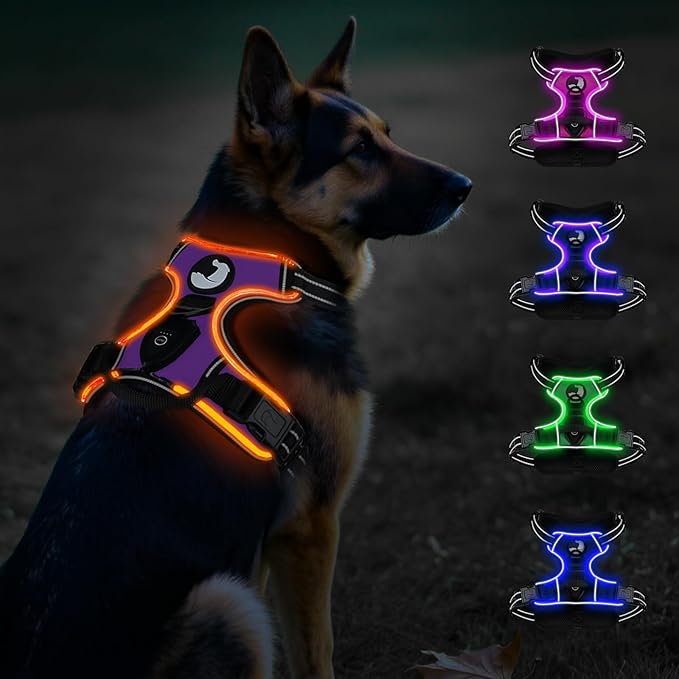 Taglory Light Up Dog Harness, Rechargeable No Pull Dog Vest with 3 Lightning Modes, Reflective Dog Harness with 2 Leash Clips & 4 Adjustable Slide Strips for Large Dogs, Purple-Orange, XL-Mewly Pet