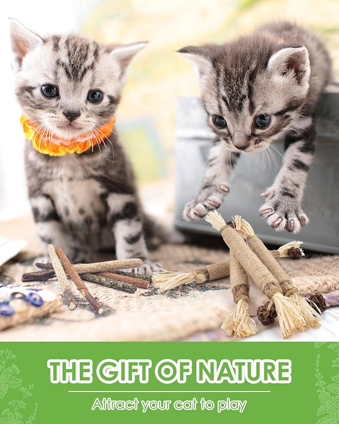 Silvervine Chew Sticks for Cats, 10 Pack Natural Catnip Chew Toys for Kittens Teeth Cleaning, Matatabi Dental Care, Increase Appetite, Calm Cat Anxiety and Stress, Aggressive Chewers Cat Dental Toy-Mewly Pet
