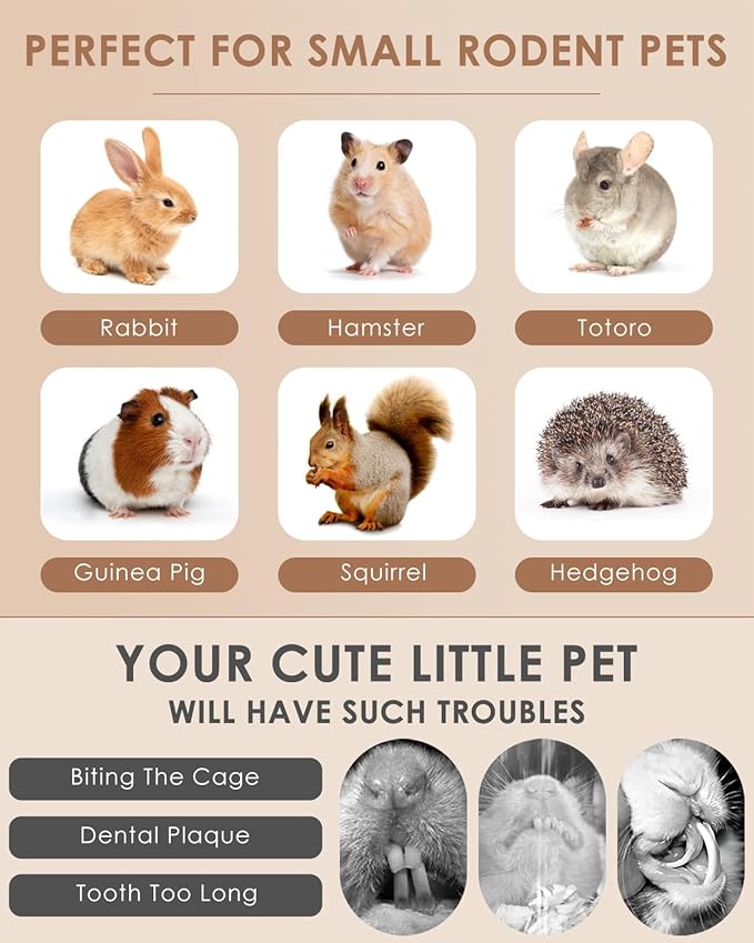 Bissap 22PCS Rabbit Chew Sticks, Mixed Natural Timothy Hay Flower Rose Dahlberg Daisy and Forget-me-not Chew Toys Treats for Bunny Chinchilla Guinea Pig Hamster and Other Small Pets Molar Snacks-Mewly Pet