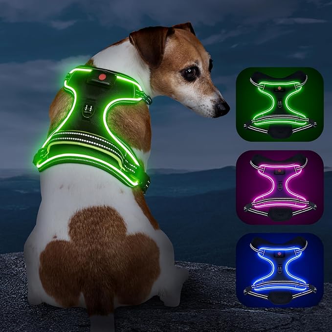 Light Up Dog Harness, No Pull LED Dog Harness with Handle, Rechargeable Lighted Safety Vest for Small Medium Large Dogs, Adjustable Soft Dog Lights for Night Walking-Mewly Pet