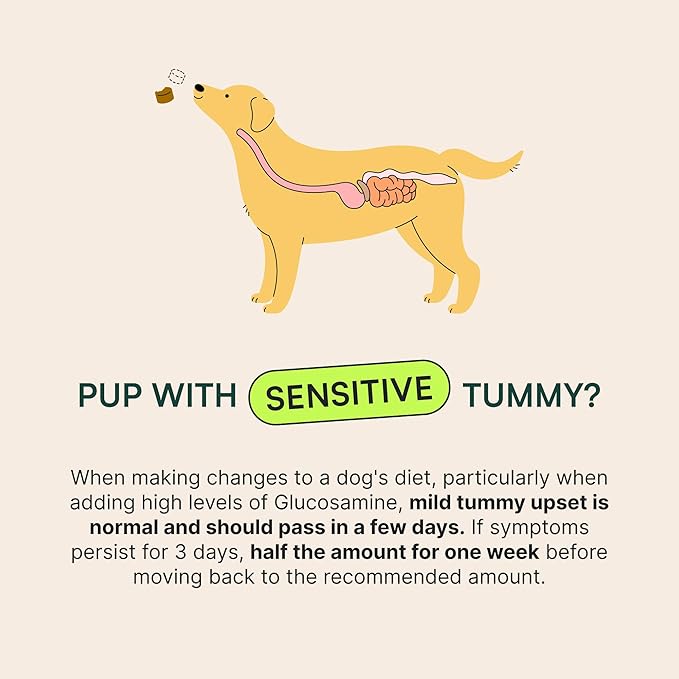 Wuffes Advanced Dog Hip and Joint Supplement with Glucosamine, Chondroitin, Omega 3, MSM, and Green Lipped Mussel, 120 Pork Flavored Chews for Small Dog Breeds-Mewly Pet