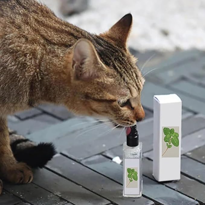 Kitty Joy Herbal Cat Joy, Herbal Cat Joy Spray, Celery Pets Catnip Spray, Catnip Spray for Indoor Cats, Cat Calming Spray, Anti Scratch Cat Spray, Cat Training Spray with Catnip, Cat Nip Spray (4PCS)-Mewly Pet