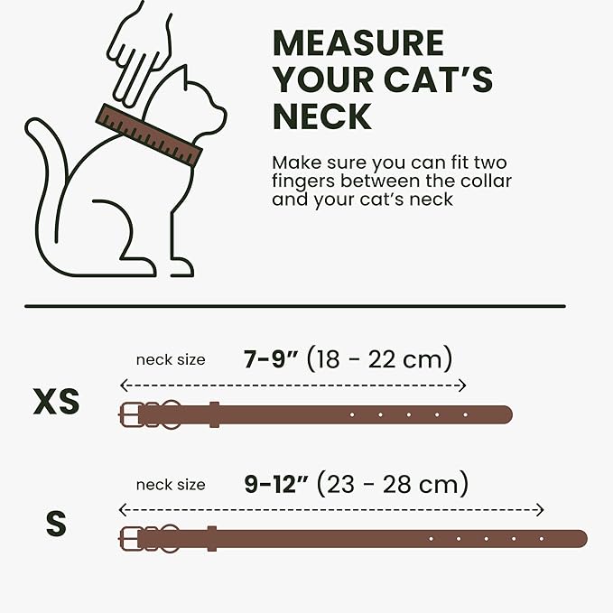 BRONZEDOG Leather Cat Collar with Removable Bells Non Breakaway Kitten QR Tag for Girl Boy (9" - 12" Cats/Mini Dogs, Brown & Silver)-Mewly Pet