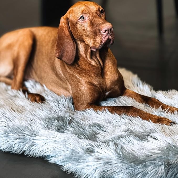 IHAPPYDOG Luxury Faux Fur Orthopedic Dog Bed, Memory Foam Dog Bed for Small, Medium, Large and XL Pets, Fluffy Pet Bed with Waterproof and Washable Cover (Grey, 40"x25")-Mewly Pet