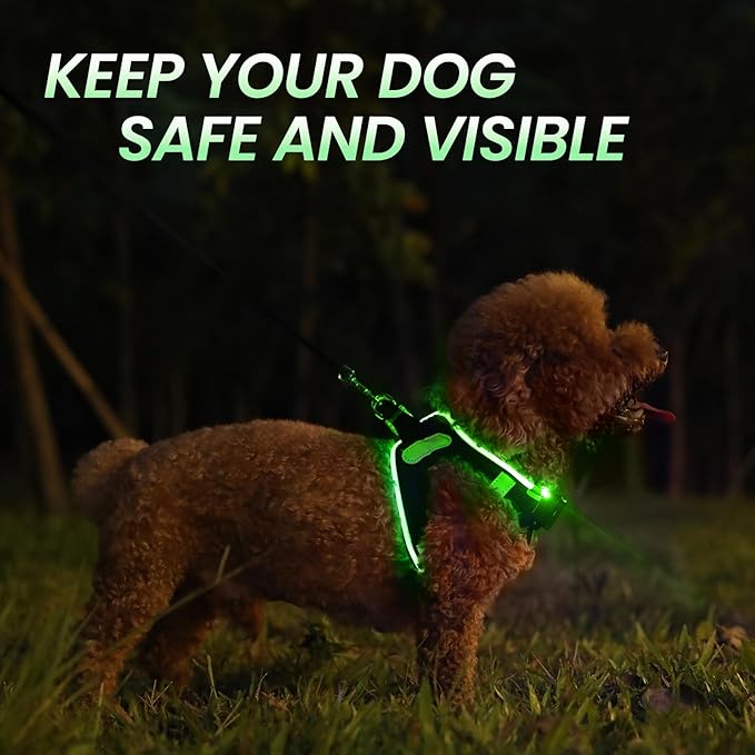 PceoTllar Light Up Dog Harness, LED No Pull Reflective Dog Harness, Flashing Lighted for Night Walking - Small/Medium, (Black Green,m)-Mewly Pet