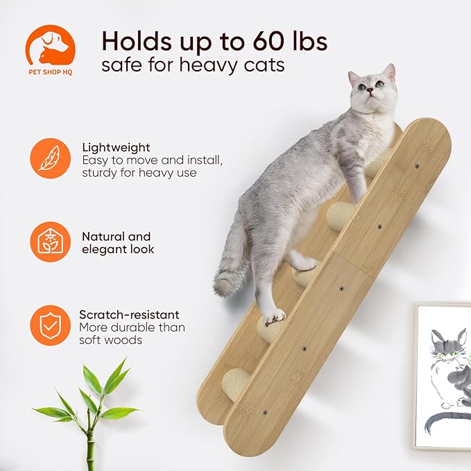 Wall-Mounted Cat Furniture for Climbing - Indoor Wooden Floating Shelves, Perches, Hammock, Bed, Bridges, and Walkways-Mewly Pet