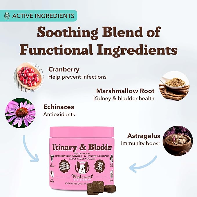 Natural Dog Company Cranberry Supplement for Dogs - Urinary & Bladder Support - D-Mannose for Dog Promotes Bladder Health - Turkey Flavor - Dog UTI Incontinence Supplement - 90 Soft Chews-Mewly Pet