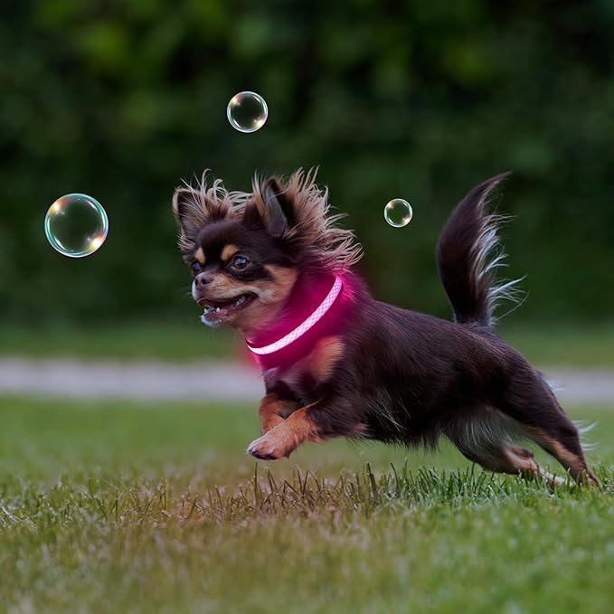 Flashseen LED Cat Collar,Light Up Dog Collar Rechargeable, Dog Lights for Night Walking, Comfortable Soft Mesh Pet Collar Adjustable for Cats Puppy and Small Dogs(Pink, XS)-Mewly Pet