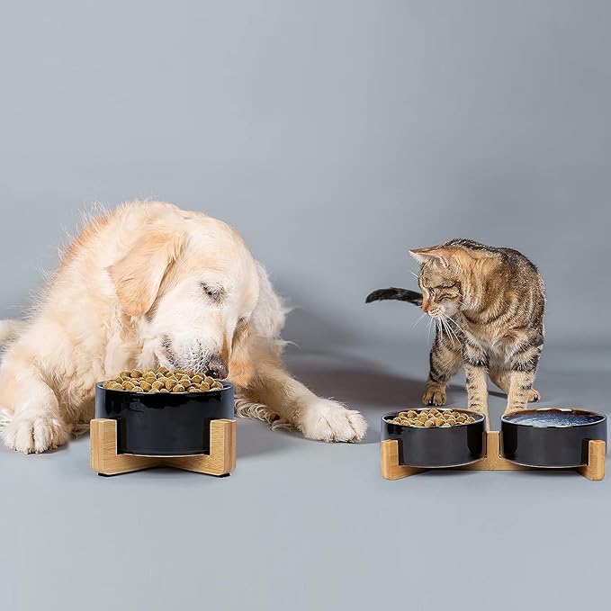 SPUNKYJUNKY Ceramic Dog and Cat Bowl Set with Wooden Stand, Modern Cute Weighted Food Water Set for Small Size Dogs (13.5OZ) & Medium Sized Dogs (28.7OZ) & Cats (3.6 Cups, 2 × Starry Blue)-Mewly Pet