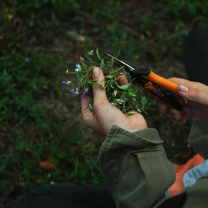 Fiskars Micro-Tip Pruning Snips - 6" Garden Shears with Sheath and Comfort Grip - Sharp Steel Blades - Quality Pruning Shears for Plants in Grow Tents and Hydroponics - Garden Tools-Mewly Pet