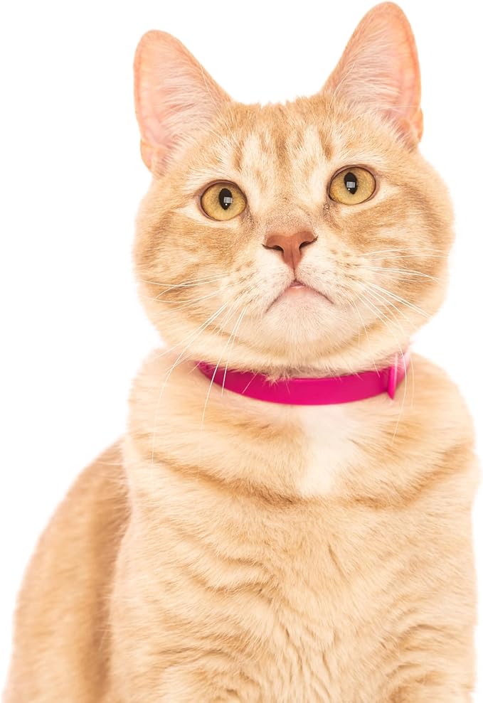 Cat Collar 2 Pack - Soft, Comfortable, and Lightweight Safety Breakaway Collar with Name Tag Ring for Outdoor Cats and Sensitive Skin Kittens by Nuvuq (6 ⅞" to 10 ¼", Pink)-Mewly Pet