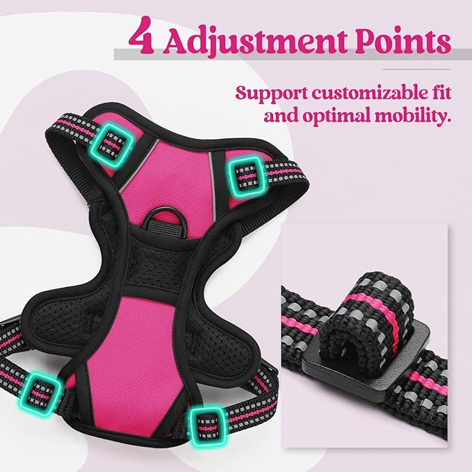 rabbitgoo Dog Harness No Pull with 2 Leash Clips, Adjustable Soft Padded, Reflective Oxford No Choke Pet Vest with Easy Control Handle for Puppy, Hot Pink, XS-Mewly Pet