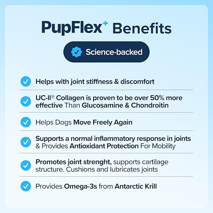 PupFlex+ Hip and Joint Supplement Dogs, Vet Created Soft Chews with UC-II® Collagen for Dogs, CurcuVET® & Omega 3, Proven More Effective Than Glucosamine Chondroitin, Dog Joint Supplement (60 ct)-Mewly Pet