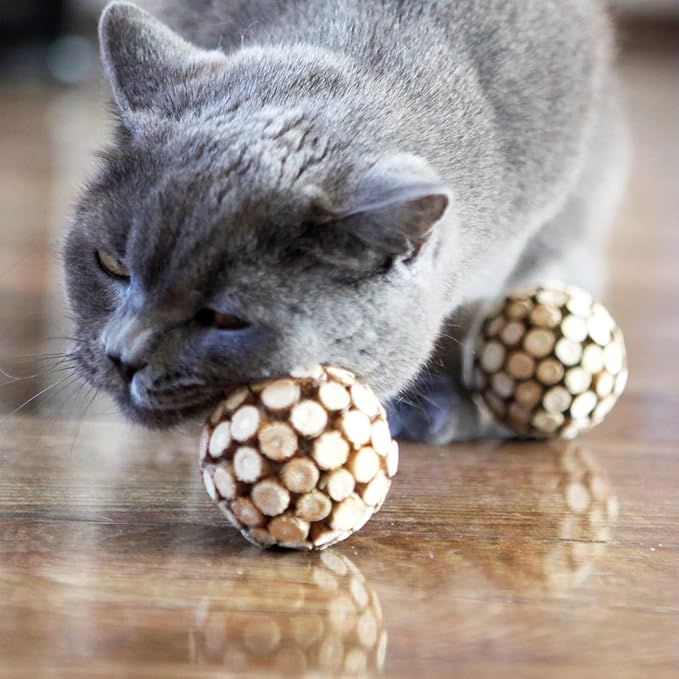 3PCS Cat Ball Toy,Silvervine Ball with Catnip Gall Fruit silvervine Sticks Powder Inside,Catnip Toys for Indoor Cats,Kitten Cleaning Teeth Cat Chew Toy-Mewly Pet