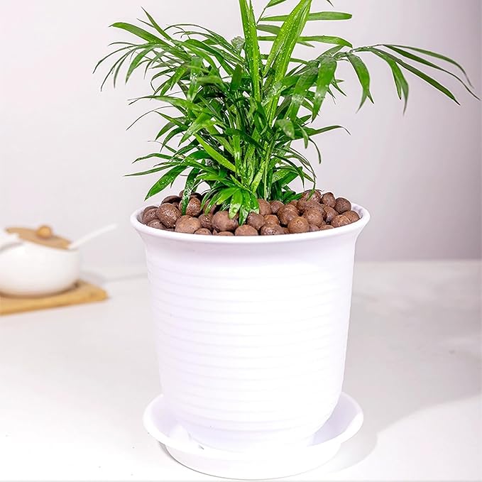 5 lbs Clay Pebbles for Plants, 8-12 mm Leca Clay Balls for Indoor Plants, Orchid Potting Mixes, Hydroponic Growing, Aquaponics, Potted Top Dressing and Drainage-Mewly Pet