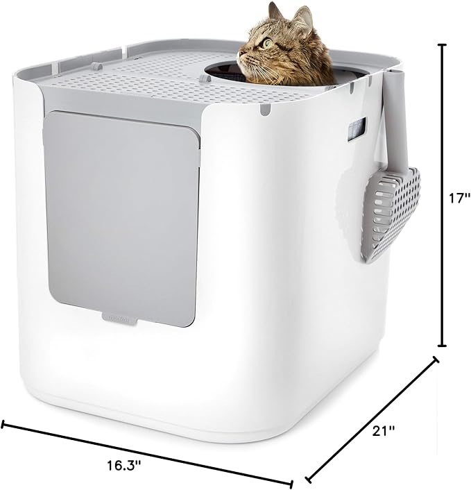 Modkat® XL Litter Box, Top or Front-Entry Configurable, Full Height Seamless Base, Reusable Litter Liners, Sifting Litter Scoop, 2X Bamboo Charcoal Filters - Gray-Mewly Pet