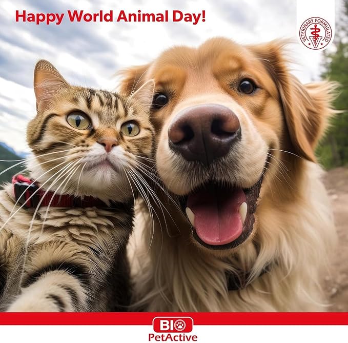 Bio Pet Active Kitten Milk Replacer - Easy-to-Digest Milk Powder with Vitamins, Minerals and Taurine for Kittens and Mothers, 7.05 oz-Mewly Pet