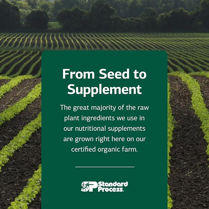 Standard Process Inc. Canine Flex Support - Joint & Immune Health Supplement for Dogs - Chewable Wafers for Healthy Joint Function Support - Nutritional Whole-Food Based Supplement - 100 wafers-Mewly Pet