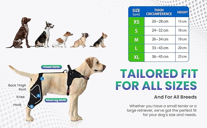 Comfortable Dog Knee Brace for Both Hind Legs with Harness - for ACL Tear, Luxating Patellae, Osteoarthritis & Instability - for Recovery & Injury Prevention in Active/Aging Dogs - (Small)-Mewly Pet