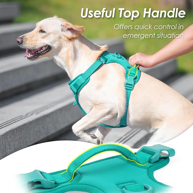 No Pull Dog Harness, Puppy Vest with Front Clip for Small Medium Large Sized Dog(MARRS Green,XS)-Mewly Pet