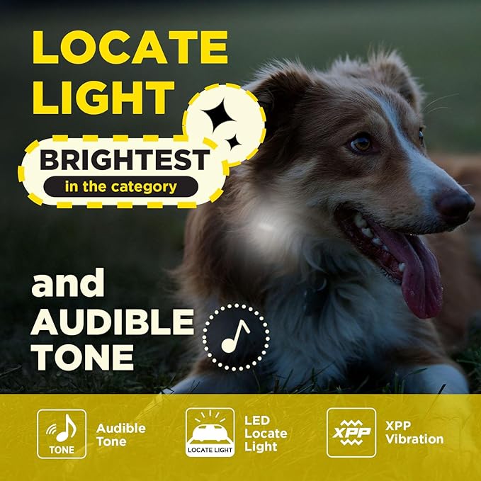 Dogtra 200iQ Remote Training E Collar – 100 Levels, Tone, Vibration, 1/2 Mile Range – Compact, Waterproof, One-Handed Control for Dogs 10 lbs+ – Lightweight Design for Daily Training – Flower Power