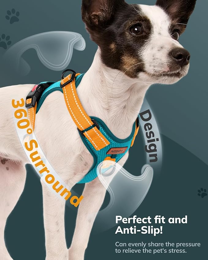 MIDOG No-Pull Dog Harness | Adjustable & Reflective Pet Harness Leash Set for Small Medium Large Dogs Walking, Training| No Choke, Front Clip, Soft Padded Vest with Easy Control Handle - Blue, XS-Mewly Pet