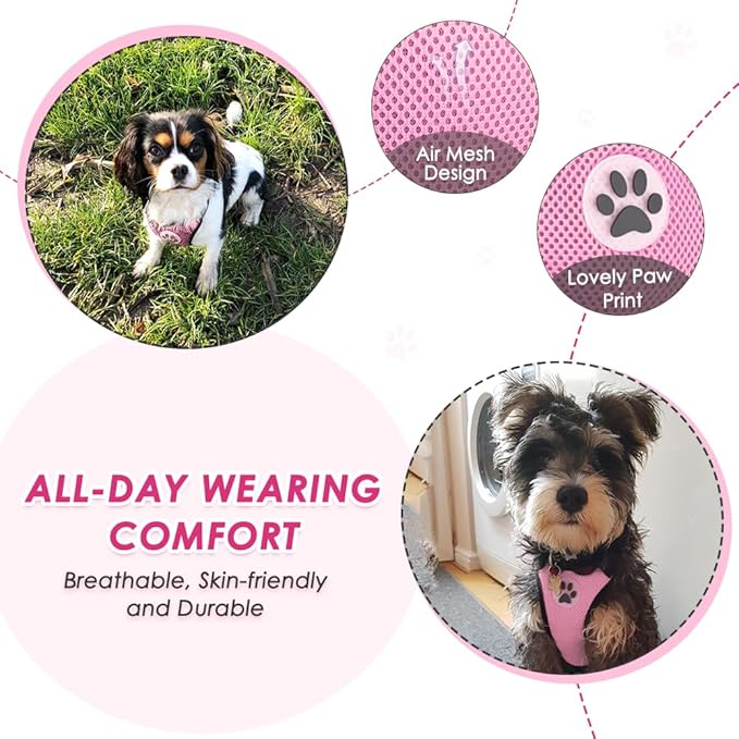 Lukovee Dog Seat Belt for Car, Adjustable Dog Car Harness for Large Medium Small Dogs, Soft Padded & Breathable Mesh Dog Seatbelt with Car Strap and Carabiner(Pink Double Clip,XX-Small)-Mewly Pet