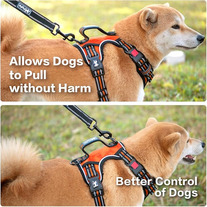 PoyPet No Pull Dog Harness, No Choke Front Clip Reflective Dog Vest with Soft Padded Vertical Handle, 3 Leash Attachments for Small Medium Large Dogs (Orange,M)-Mewly Pet