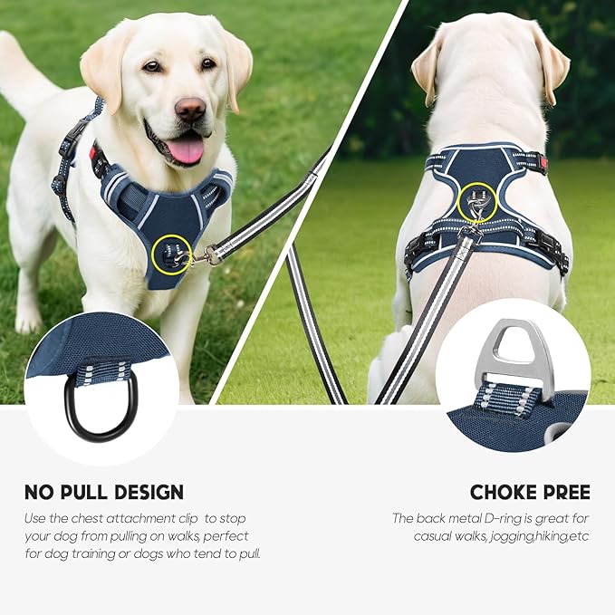Timos Dog Harness Medium Sized, No Pull Pet Harness with Neck Lockable Snap,No Choke Front Clip Dog Reflective Vest,Adjustable Metal Rings 3 Buckles,Easy Control Handle for Medium Dogs Royal Blue M-Mewly Pet