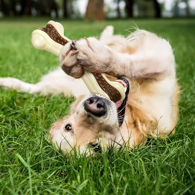 Sosation 6 Pcs Dog Toys for Aggressive Chewers Nylon Beef Flavor Bones Tough Puppy Teething Toys Puppy Chew Bones for Large Medium Small Breed Dogs Puppies Pets Chew Toys(Medium)-Mewly Pet