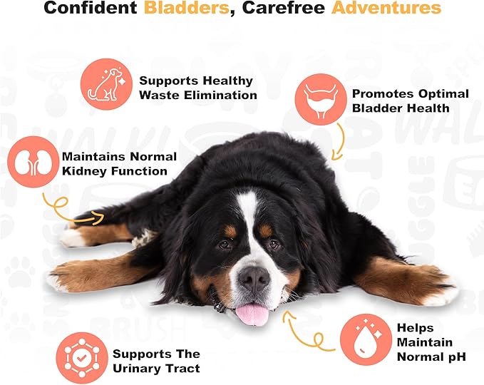 Doggie Dailies Cranberry Supplement for Dogs - Urinary Tract, Bladder & Kidney Support for Dogs - Cranberry for dogs with Marshmallow Root, Licorice Root & Apple Cider Vinegar (Chicken) 225 Soft Chews-Mewly Pet