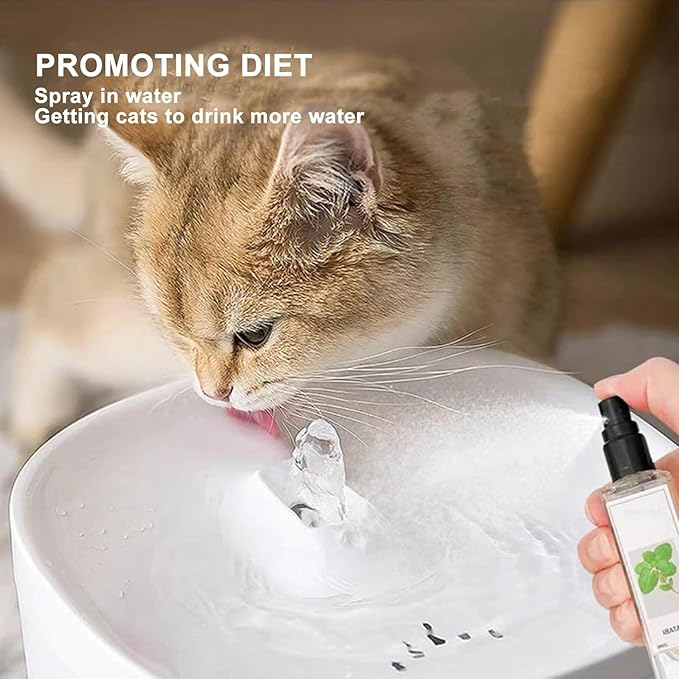 Kitty Joy Herbal Cat Joy, Herbal Cat Joy Spray, Celery Pets Catnip Spray, Catnip Spray for Indoor Cats, Cat Calming Spray, Anti Scratch Cat Spray, Cat Training Spray with Catnip, Cat Nip Spray (2PCS)-Mewly Pet